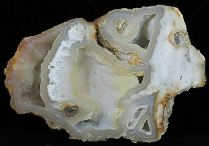 Agatized Fossil Coral With Druzy Quartz - Florida #50793